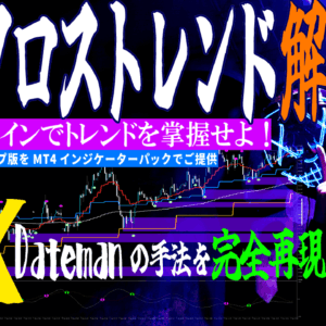 『通貨クロストレンド＋RSI』通貨強弱トレードの決定版！＋通常版＋特典6個